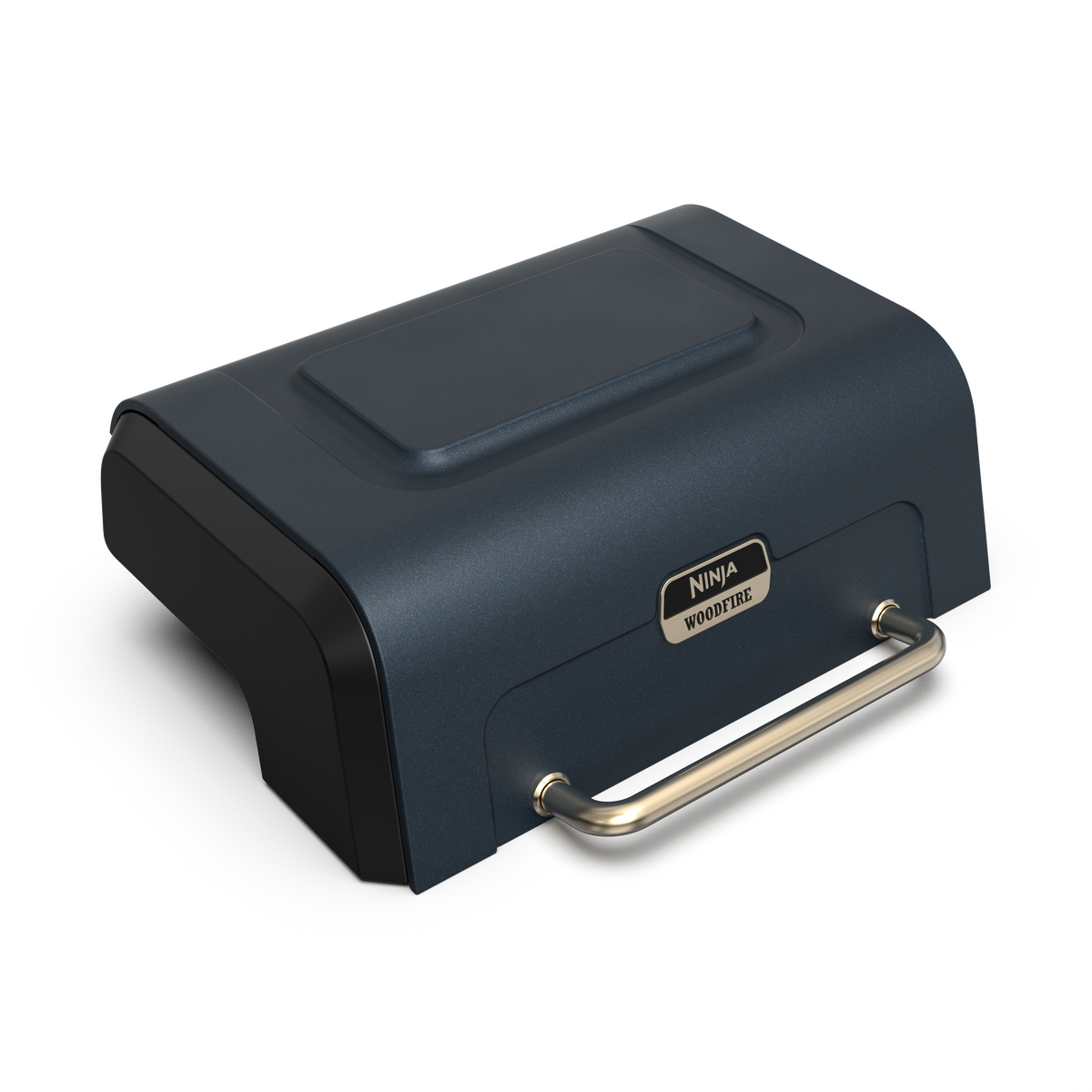 Ninja FlexFlame™ Lid Blue